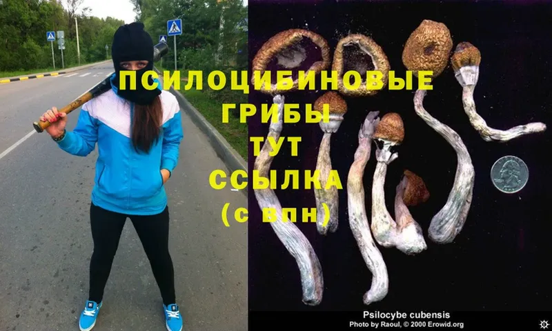 Галлюциногенные грибы MAGIC MUSHROOMS  shop официальный сайт  Вилюйск 